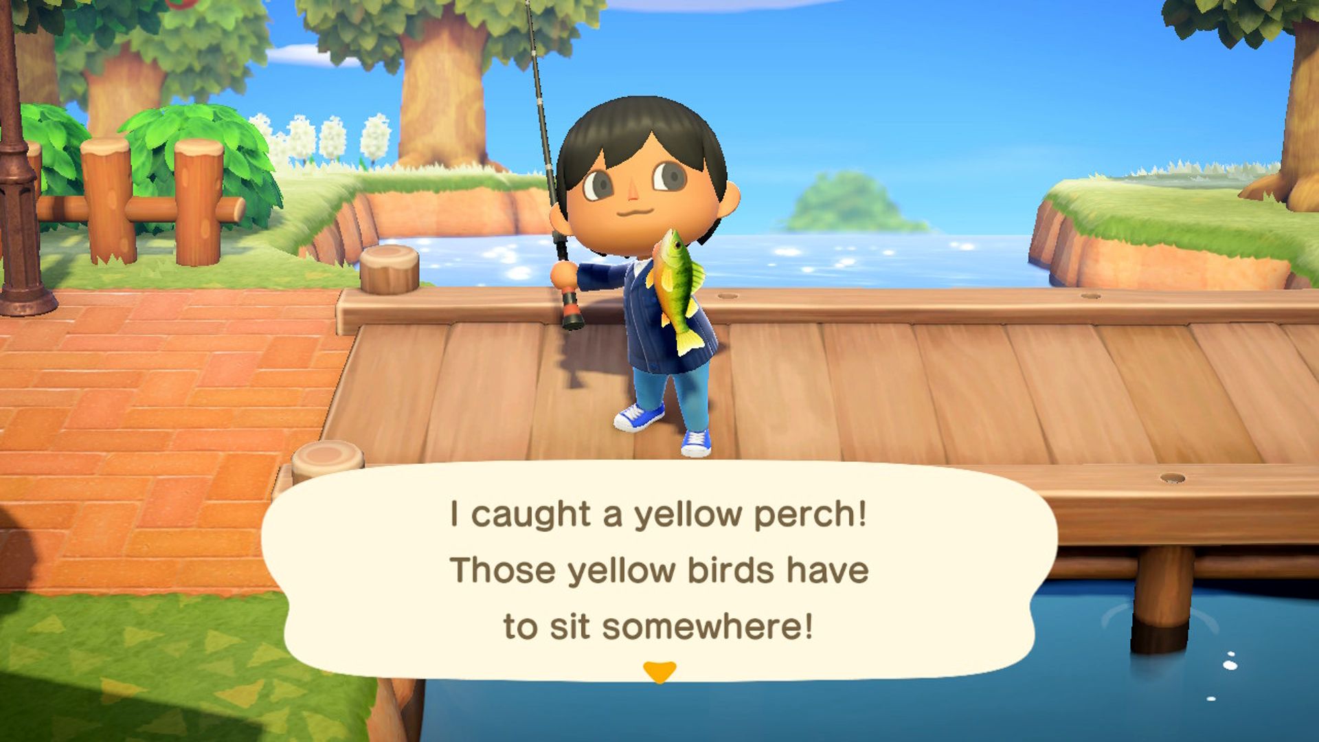 Male Player Showing Off Yellow Perch Fish While Standing On River Bridge In Animal Crossing New Horizons