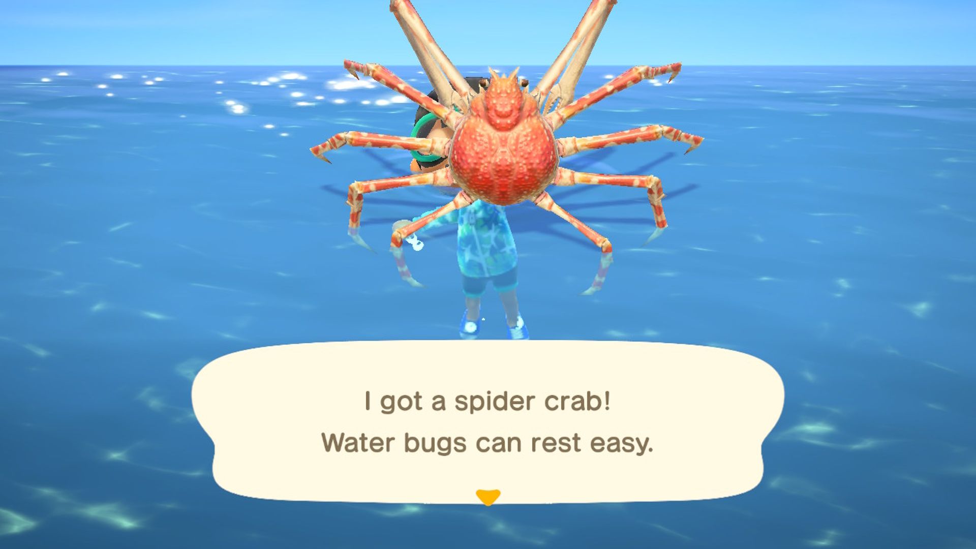Male Player Showing Off Spider Crab While Swimming In Ocean In Animal Crossing New Horizons